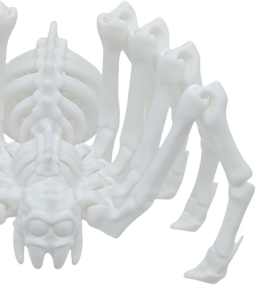 Large Skeleton Spider-Shy Spider,Halloween Decorations Skeleton Spider,Skeleton Spider Skull Bone Animal Skeleton Decorate Animal Halloween Skeleton Props (White)