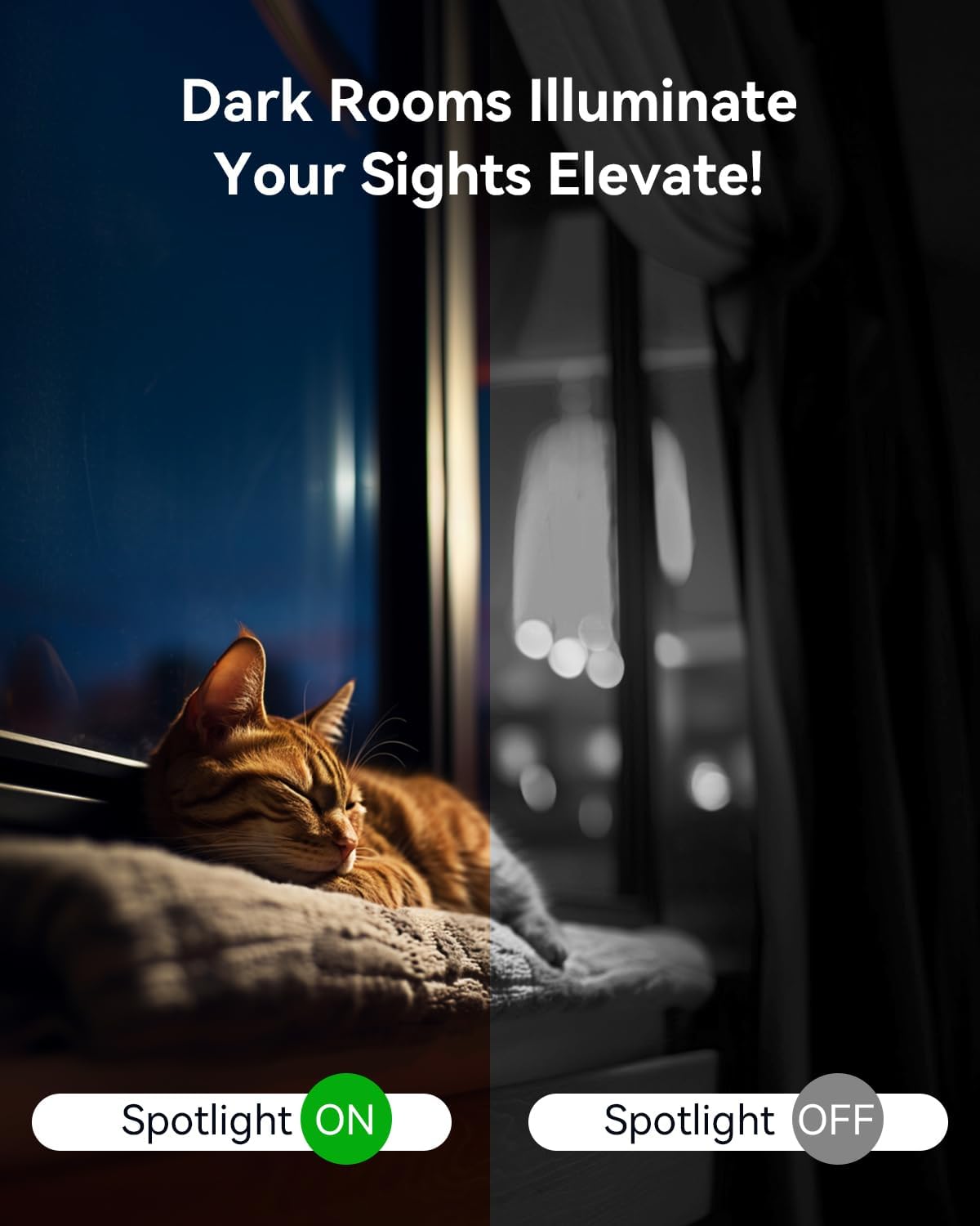 blurams 2K Pet Camera, Cameras for Home Security with One-Touch Call, Indoor Camera w/Color Night Vision, Motion Tracking, Cloud & SD Card Storage (2Pack)