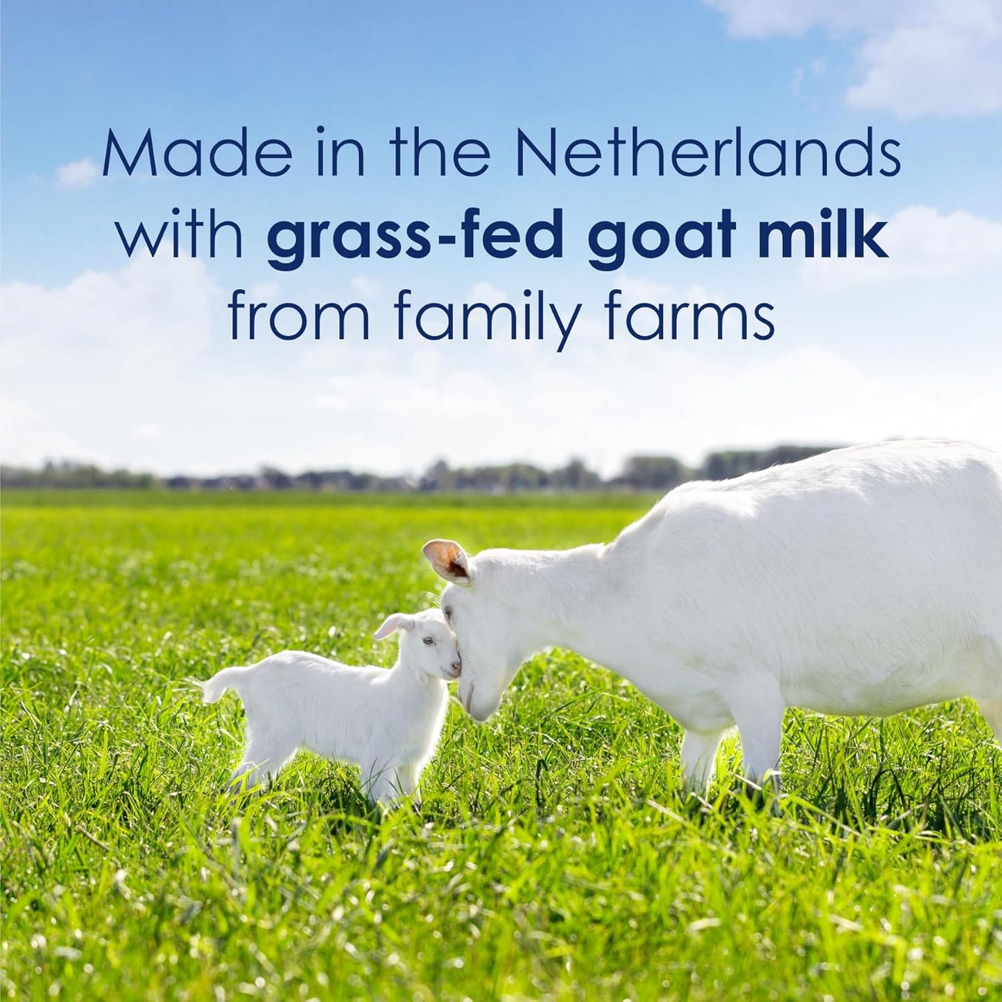 Kabrita Goat Milk Toddler Nutrition, 12-24 Months - Easy to Digest, Contains Vitamin D, Calcium