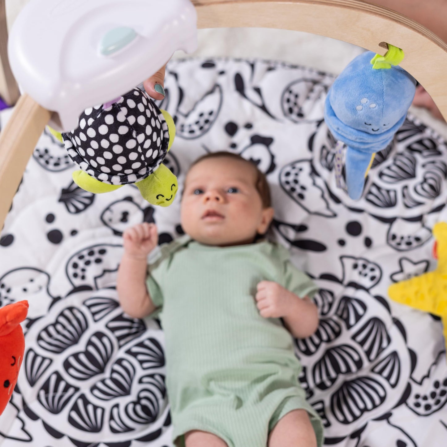 Melissa & Doug Ocean Wooden Baby Play Gym, Easy-Fold Baby Activity Center, 5 Washable Sensory Toys