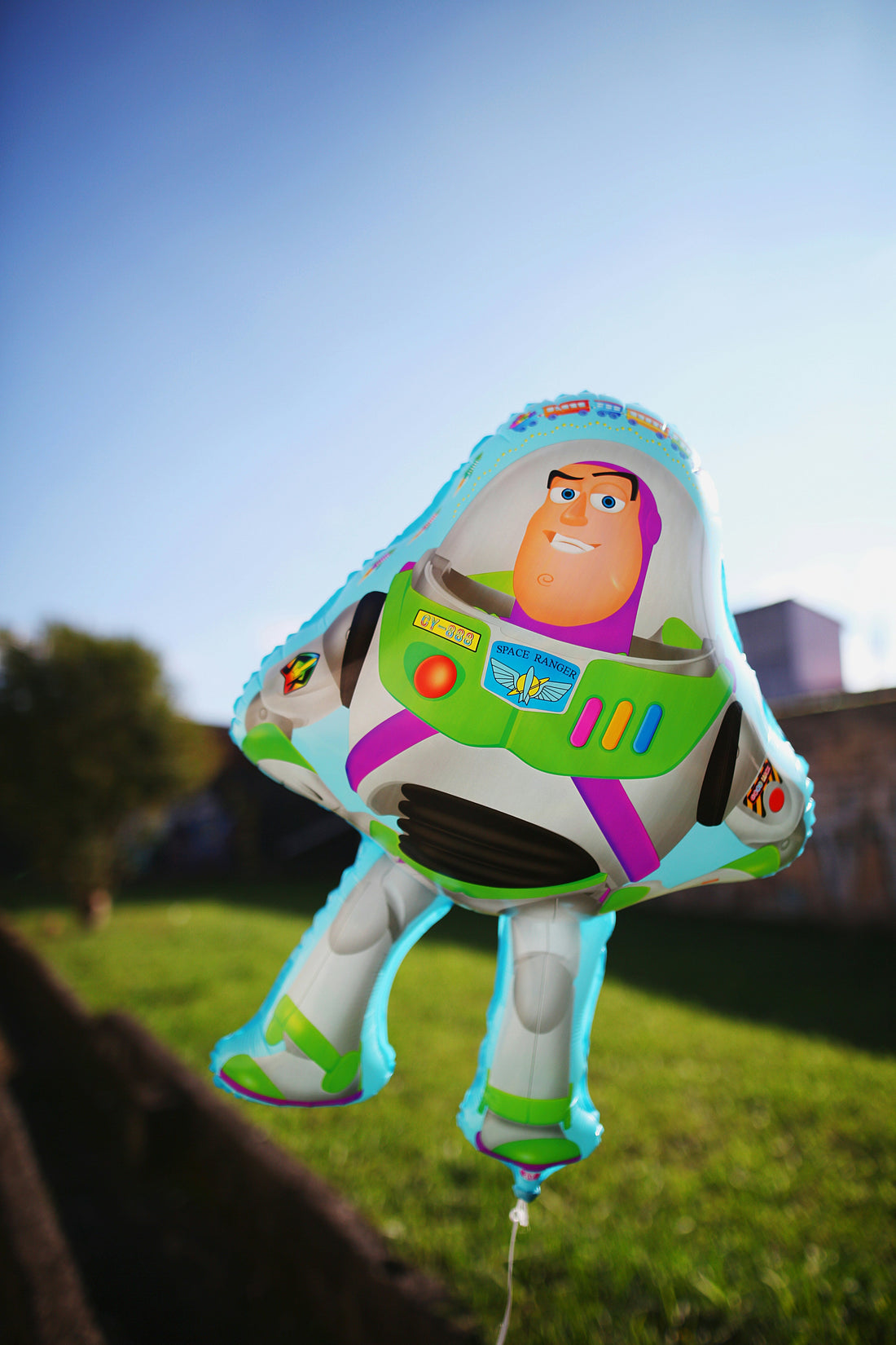 Eco-Friendly Toys: Are They Worth It?