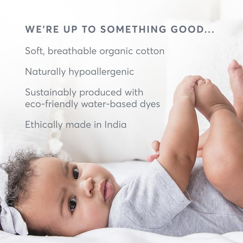 Colored Organics - Cruz Joggers Organic Cotton Baby Pants - Kids & Baby Clothes