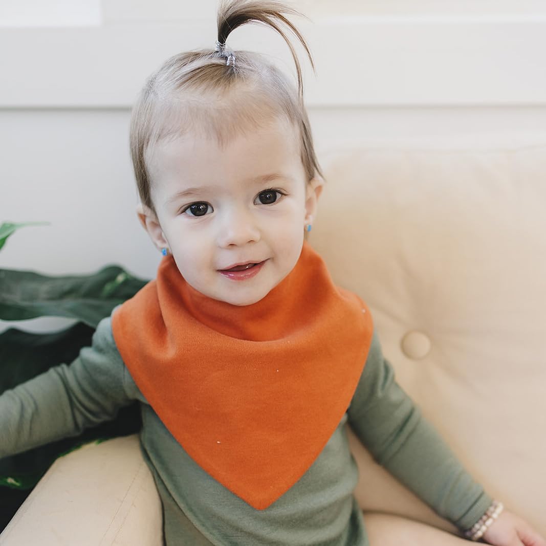 Woolino Merino Wool Baby Bibs - Highly Absorbent Bandana Bib with Cotton Outer Layer and Merino Wool Inner Layer - Pack of 2