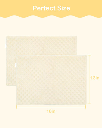 ALVABABY Toddler Pillowcases Soft Kids Pillow Cover 2 Pack Fit 13"x 18" or 12"x16" Envelope for Girl Boy Sleepy Travel 2TPD02A
