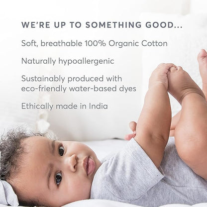 Colored Organics - Organic Cotton Toddler Short Sleeve Shirts - Baby Toddler and Kids Tops - Girls and Boys Tees