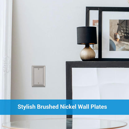 DEWENWILS 4-Pack Blank Wallplates, Brushed Nickel Outlet Cover, Stanless Steel