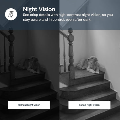 Luna Cameras for Home Security Indoor, Advanced AI Motion Detection, 360° Pan/Tilt, Plug-in, Night Vision, 2.4GHz WiFi, 2-Way Audio, Pet Camera with Phone App, Easy DIY Surveillance System (Black)