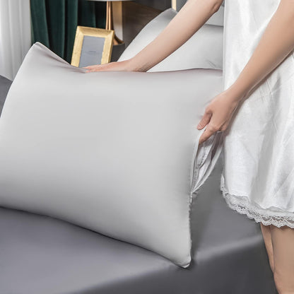 Mulberry Silk Pillowcase for Hair and Skin,Cooling Silk Pillow Case with Hidden Zipper,Allergen Proof Dual Sides Soft Breathable Smooth Silk Pillow Cover for Women (Light Gray, Body)