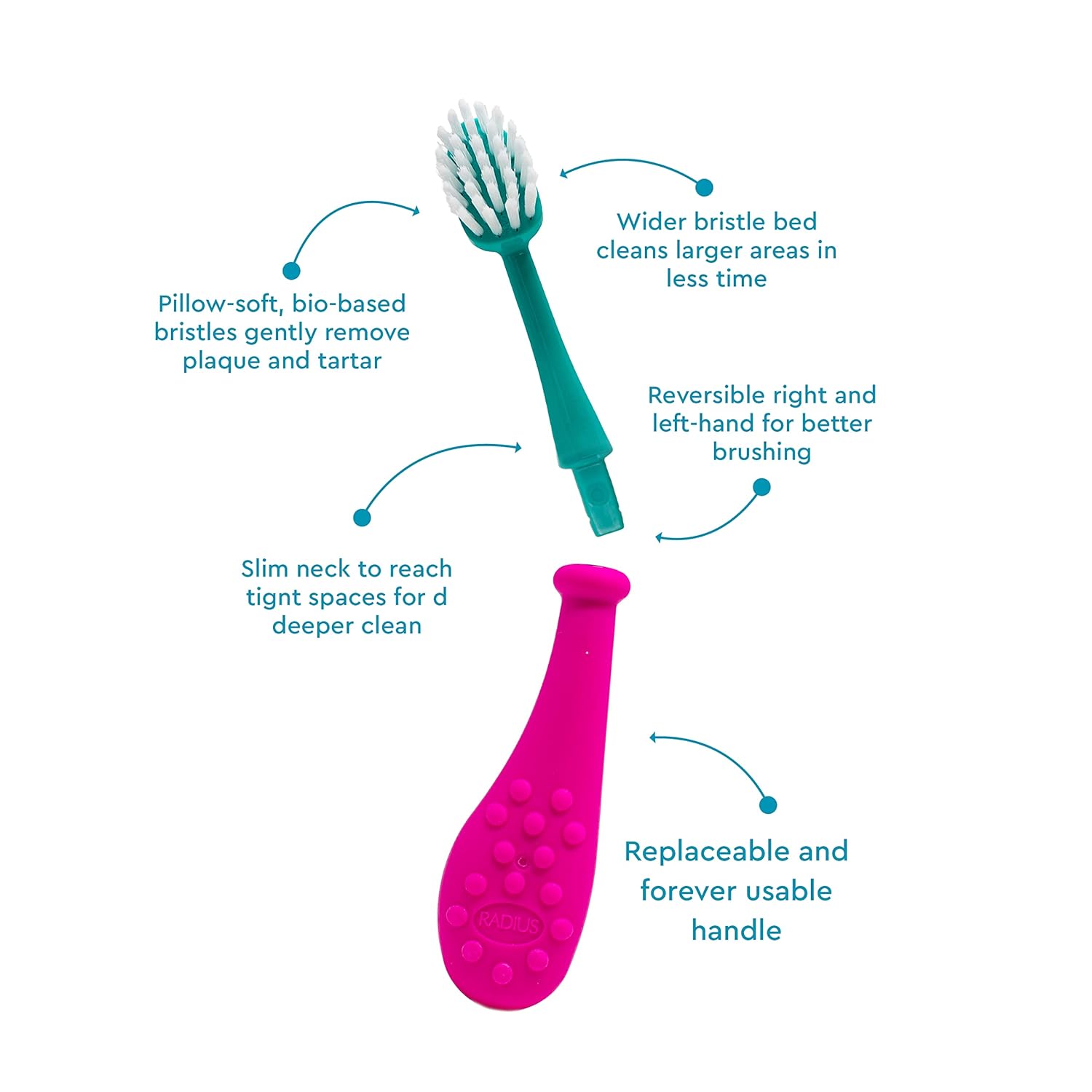 RADIUS Big Kidz Forever Brush Replaceable Head Toothbrush for Children, 6 Years and Up, BPA Free