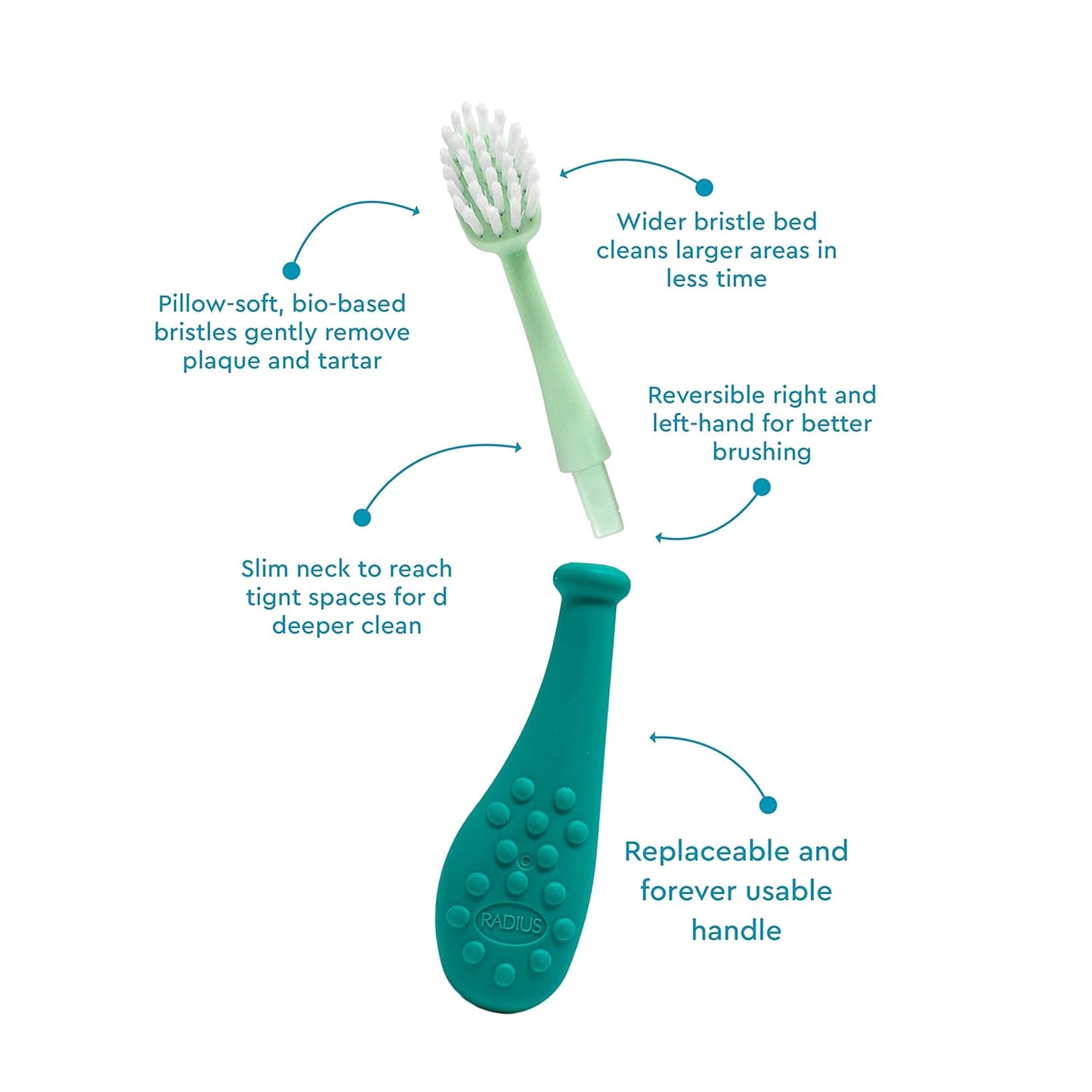 RADIUS Big Kidz Forever Brush Replaceable Head Toothbrush for Children, 6 Years and Up, BPA Free