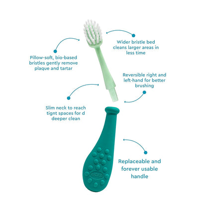 RADIUS Big Kidz Forever Brush Replaceable Head Toothbrush for Children, 6 Years and Up, BPA Free