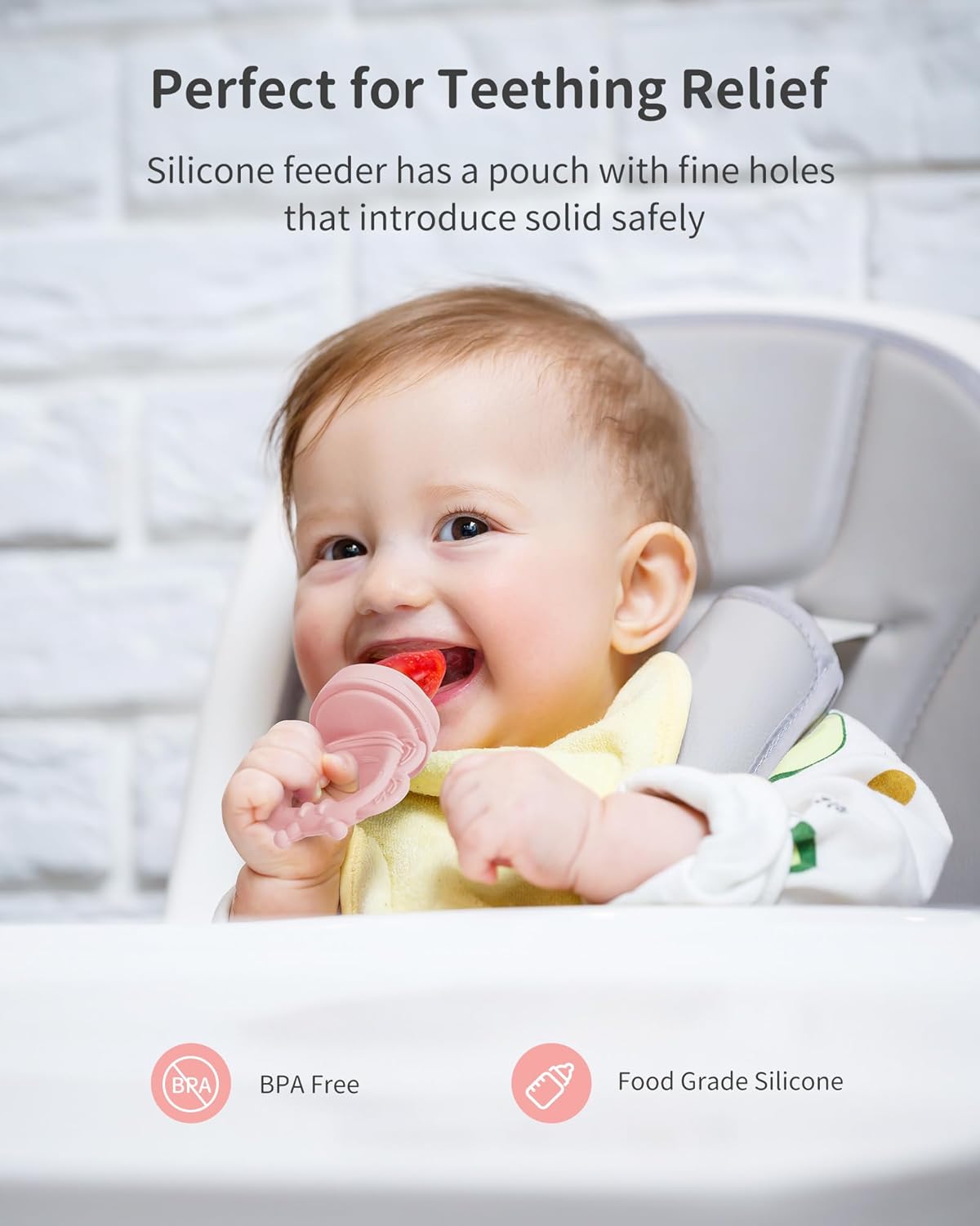 Silicone Baby Fruit Food Feeder (2 Pack) with Freezer Nibble Tray, Breastmilk Popsicle Molds for