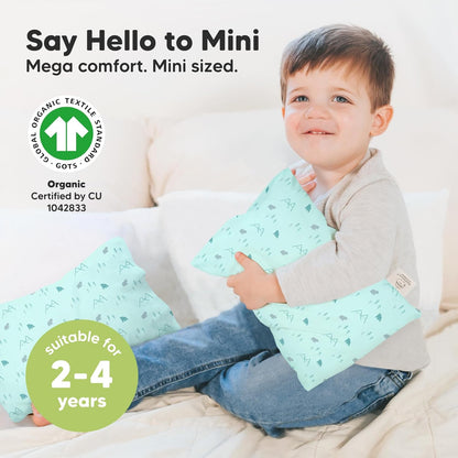 Mini Toddler Pillow with Pillowcase - 9x13 My Little Dreamy Travel Kids Pillow for Sleeping, Toddler Bed, Small, Tiny, Organic Cotton Pillowcase, Soft & Breathable, Kids 2-4 Years Old (Polar)