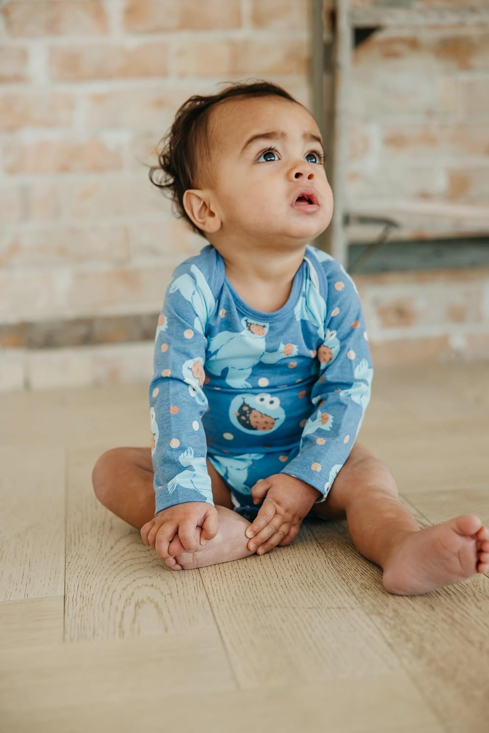Copper Pearl Long Sleeve Bodysuit Baby: Ultra Soft Baby for Newborns, Boys, and Girls - Stylish, Comfortable, Overlap Shoulders, Premium Knit Fabric - 18-24 Months, Cookie Monster