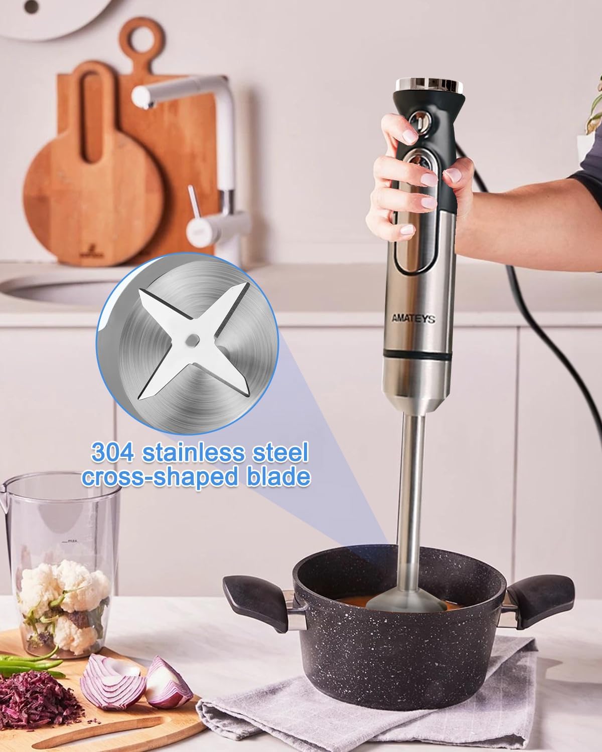 Handblender with Plug,Immersion Blender Handheld, Heavy-Duty Copper Motor, Detachable Stainless