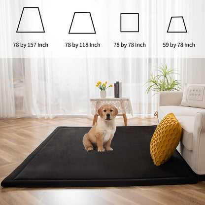 MAXYOYO Black Coral Velvet Area Rug, Thick Japanese Tatami Mat Living Room Carpet with Non-Slip Backing, Large Solid Color Mat for Bedroom Dormitory Yoga, 49 by 49 inch