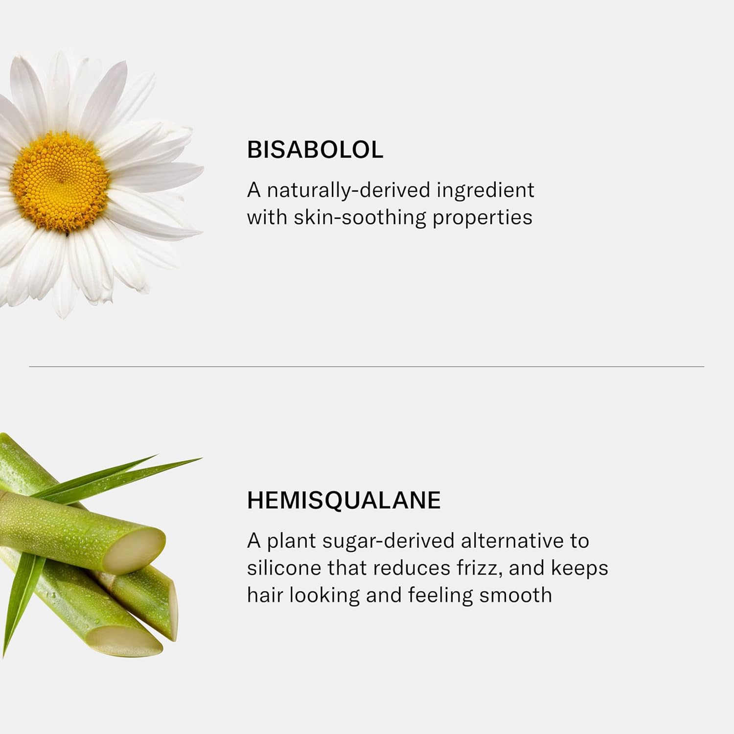 SEEN Shampoo, Fragrance Free - Non-Comedogenic & Sulfate-Free Hair Shampoo- Dermatologist-Developed