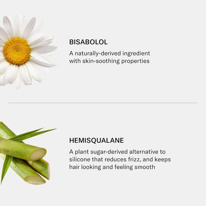 SEEN Shampoo, Fragrance Free - Non-Comedogenic & Sulfate-Free Hair Shampoo- Dermatologist-Developed