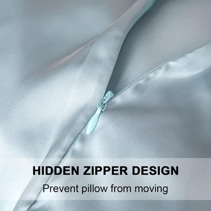 Mulberry Silk Pillowcase for Hair and Skin - Cooling Silk Pillow Case with Hidden Zipper, Allergen Proof Dual Sides Soft Breathable Smooth Silk Pillow Cover for Women (Aqua Blue)