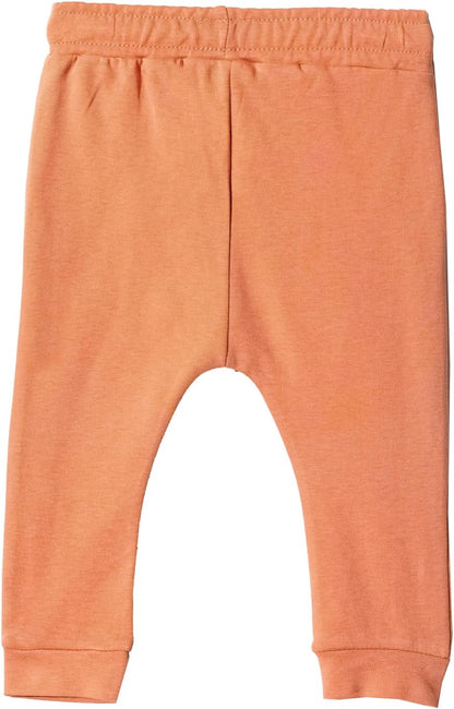 Toddler and Baby Unisex Pants 2-Pack -Baby Pants 0-3 Months to 18-24 Months Baby Cotton Sweatpants Jogger Boy Girl