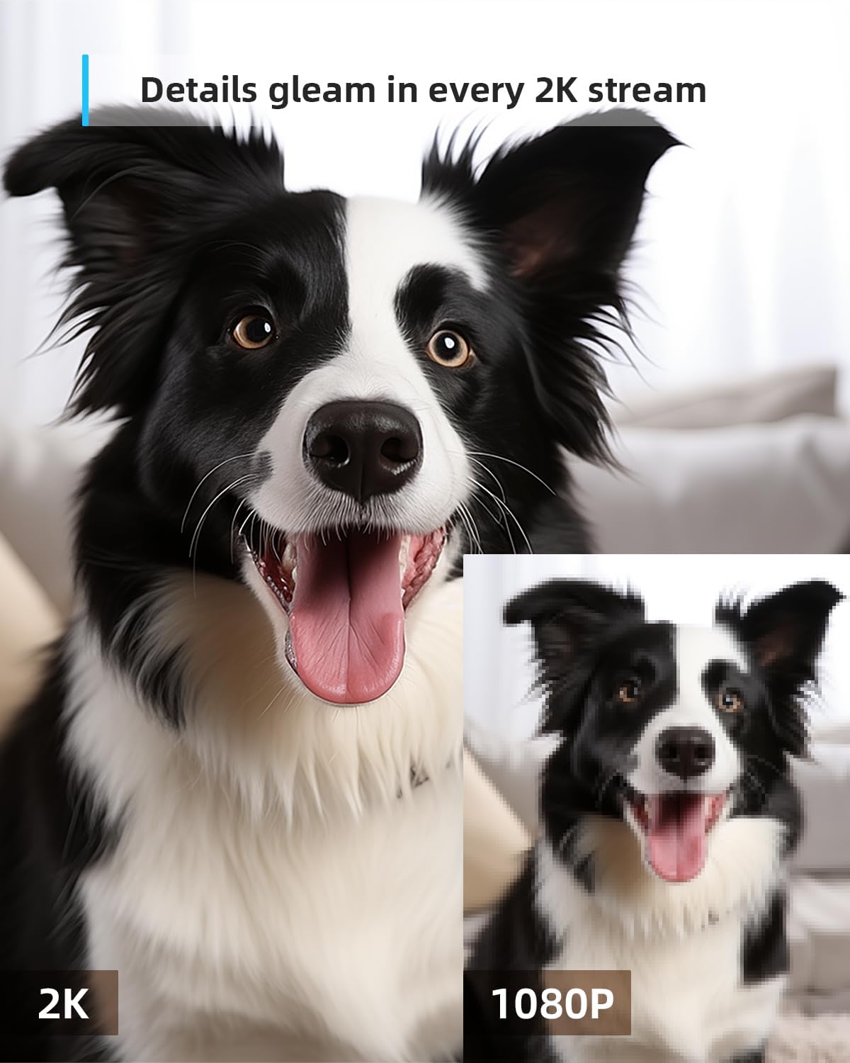 blurams Security Camera, 2K Indoor Camera 360° Pet Camera for Home Security with Phone App, Motion Tracking, 2-Way Audio, IR Night Vision, Siren, Compatible with Alexa & Google Assistant(2.4GHz ONLY)