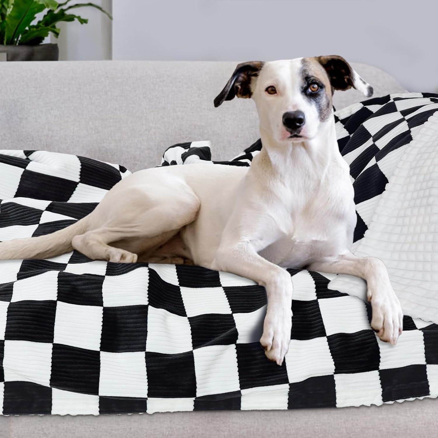 HOMRITAR Black and White Baby Blanket for Boys Ultra Soft Warm Lightweight Toddler Blanket with