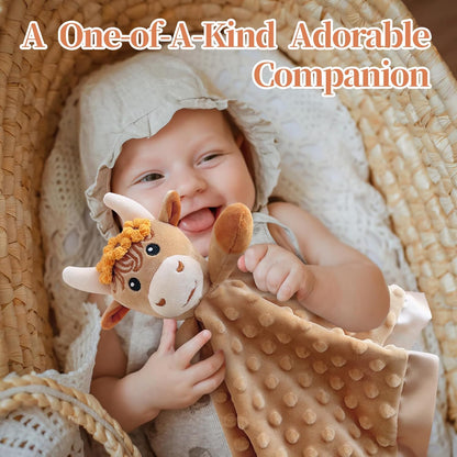 2 Pcs Loveys for Babies, Soft Baby Security Blanket Lovies for Babies, Stuffed Animals Blankie for Newborn Infant with Baby Snuggle Toy, Gilrs Gifts Highland Cow Security Blanket 16 Inch
