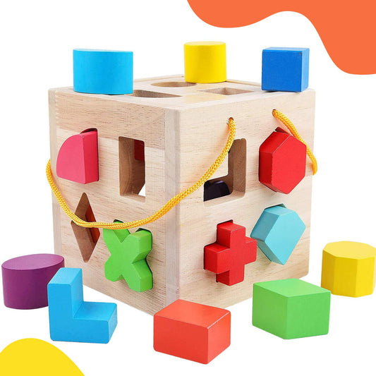 QZMTOY Shape Sorter Toys with 19 Shape Blocks, Classic Wooden Toys for Toddlers Kids, Gift for