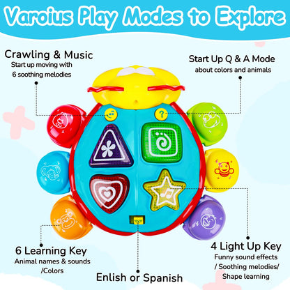 Baby Crawling Toy, Musical Light Up Learning Toy for Infants & Toddlers