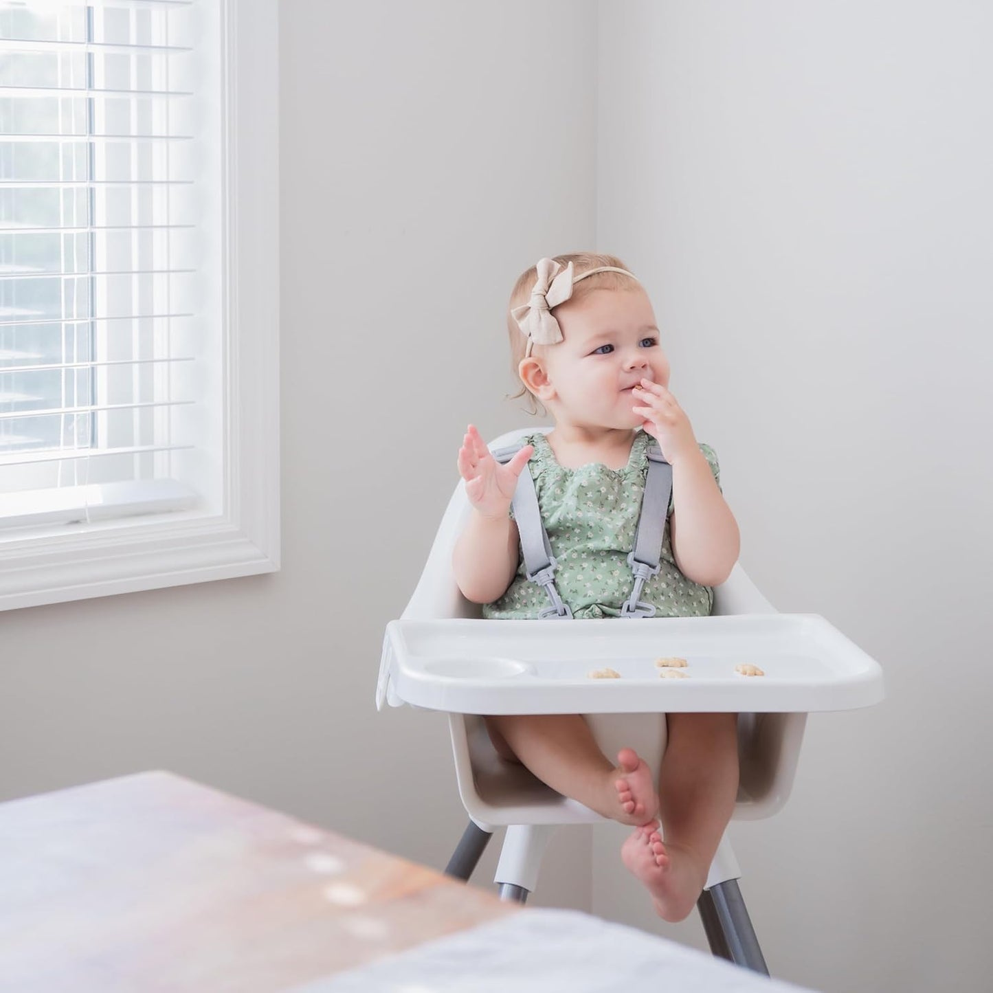 Regalo High Chair for Babies and Toddlers, Easy to Clean, Sturdy Award Winning Brand, Removable