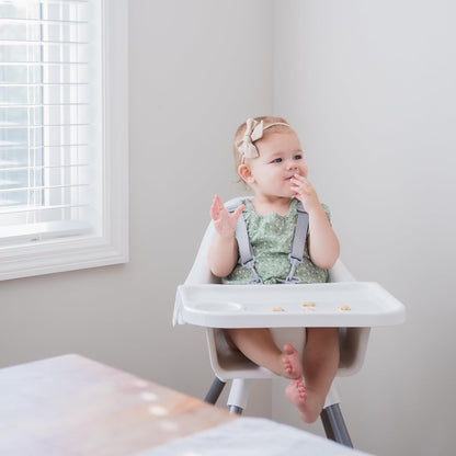 Regalo High Chair for Babies and Toddlers, Easy to Clean, Sturdy Award Winning Brand, Removable