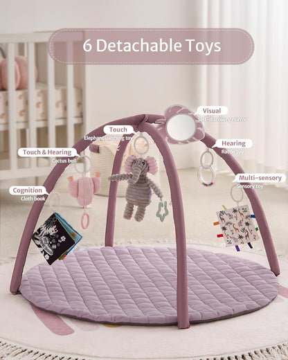 Blissful Diary Baby Play Gym Mat, Tummy Time Activity Mat with 6 Detachable Toys for Stage-Based Sensory & Motor Skill Development, Easy to Install & Clean, Baby Essentials Gift, Lavender Pink
