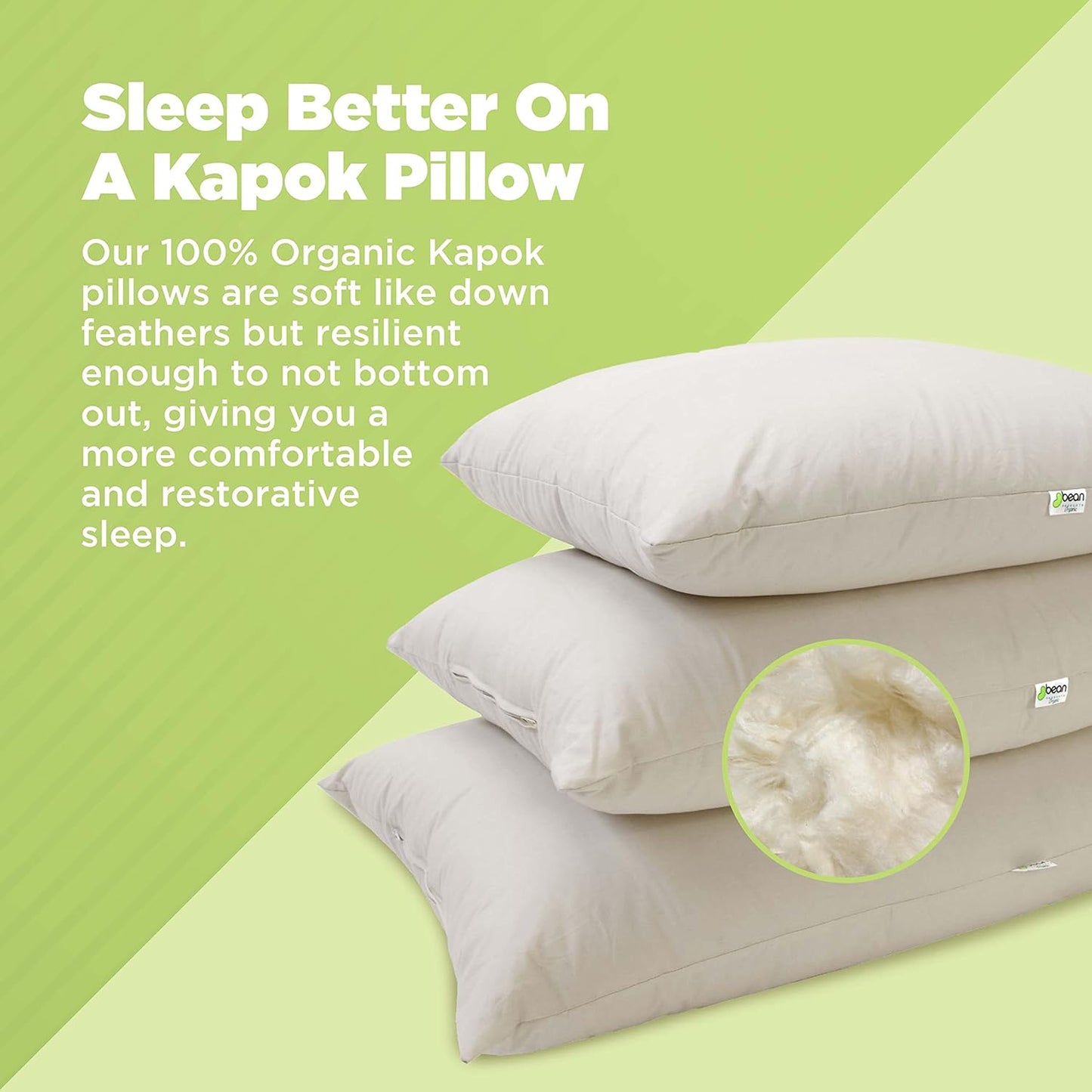 Bean Products Queen Organic Kapok Pillow + Natural Org Case - 20" x 30" - Organic Cotton Zippered Shell - Made in USA
