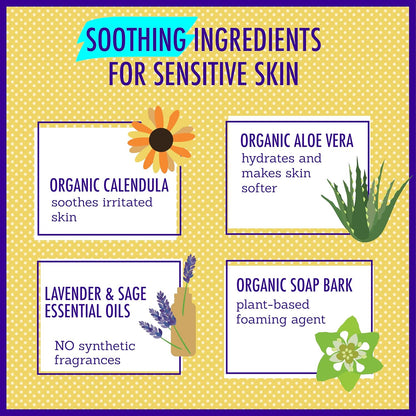 California Kids Chillax Shampoo and Bodywash | 100% Plant-Based | Gentle Skincare | Lavender