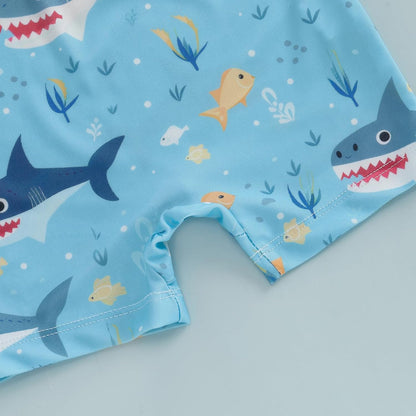 Hnyenmcko Baby/Toddler Boy Rash Guard Swimsuit Long Sleeve One Piece Zipper Swimwear Sunsuit Infant Bathing Suit Beachwear