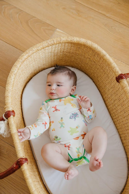 Copper Pearl Long Sleeve Bodysuit Baby: Ultra Soft Baby for Newborns, Boys, and Girls - Stylish, Comfortable, Overlap Shoulders, Premium Knit Fabric - 3-6 Months, Sesame Friends