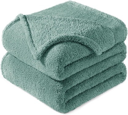 Exclusivo Mezcla Queen Size Flannel Fleece Blanket, Super Soft Velvet Plush Bed Blanket, Fuzzy Cozy and Warm for All Seasons, 90x90 Inches, Celadon
