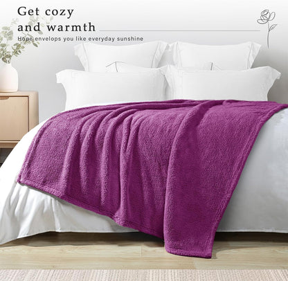 Exclusivo Mezcla Soft Fleece Throw Blanket for Couch, Super Soft Velvet Plush Bed Blanket, Fuzzy Cozy and Warm for All Seasons, 50x60 Inches, Purple