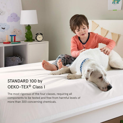 Tuft & Needle King Mattress Protector - Waterproof, Liquid-Proof, Sleeps Quiet, Fitted Sheet Style