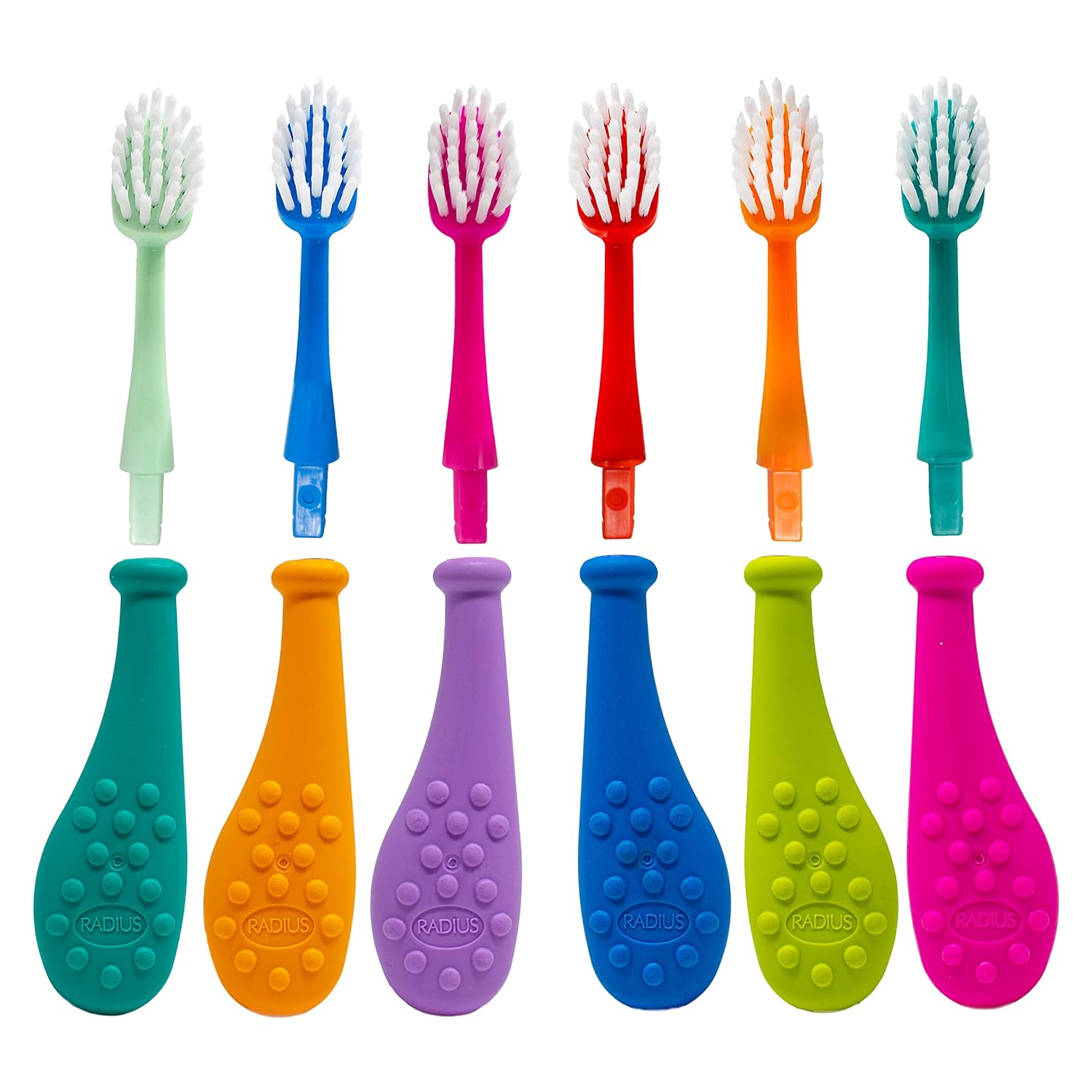 RADIUS Big Kidz Forever Brush Replaceable Head Toothbrush for Children, 6 Years and Up, BPA Free