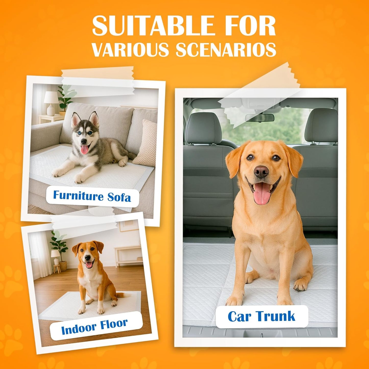 Paws & Claws Premium Disposable Dog Pee Pads – Extra Large 30"x36", 30-Count – 6-Layer Leak-Proof, Super Absorbent (Holds 10 Cups), Odor Control, Quick-Dry, Non-Slip for Large Dogs, Multi-Pet Homes