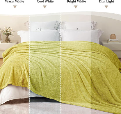 Exclusivo Mezcla Fleece Blanket for Couch, Soft and Cozy King Blankets for Women Men Girls Kids, Suitable for All Seasons, Light Green, 90x104 Inches
