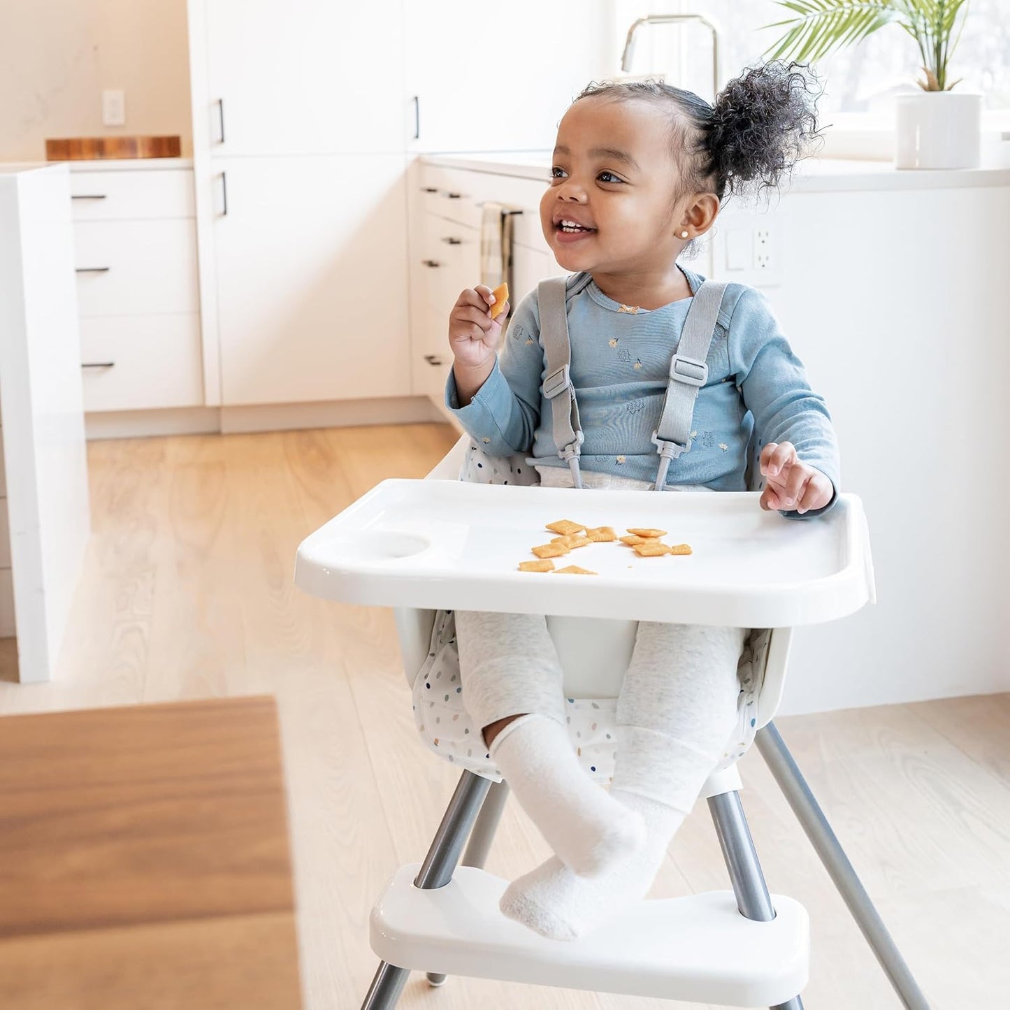 Regalo High Chair with Jelly Bean Seat Pad for Babies and Toddlers, Award Winning Brand, Removable
