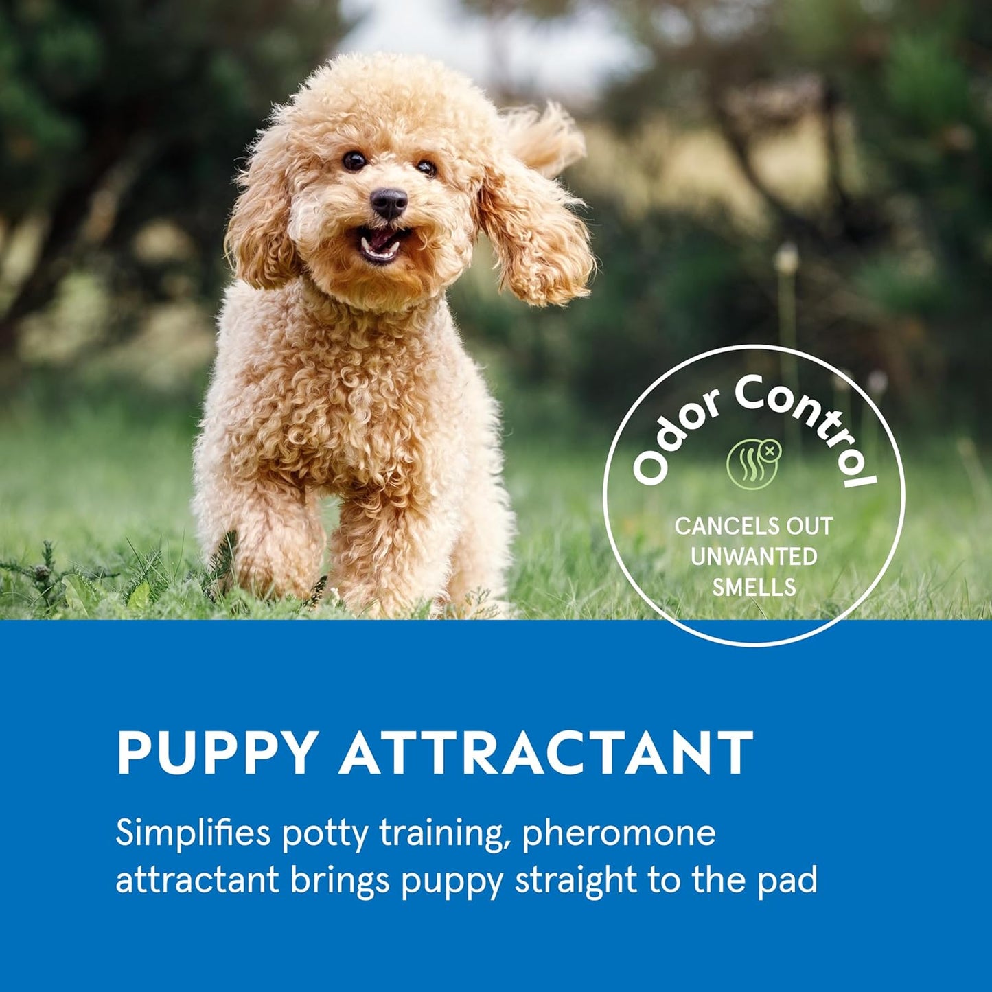 Puppy Pads Pet Pee Pads for Dogs & Puppy Training [300-COUNT] Potty Pads for Dogs 22" x 22" Leak-Proof Dog Pee Pads - Quick-Dry Surface - Heavy Duty Absorbent Disposable Dog Wee Pad Bulk Pack