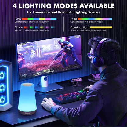 Night Light, Dimmable Touch Lamp for Bedroom, 13 RGB Colors & 5 Brightness, Portable Rechargeable Bedside Table Lamp for Baby Nursery, Night Lights for Bedroom Living Room Bathroom Hallways