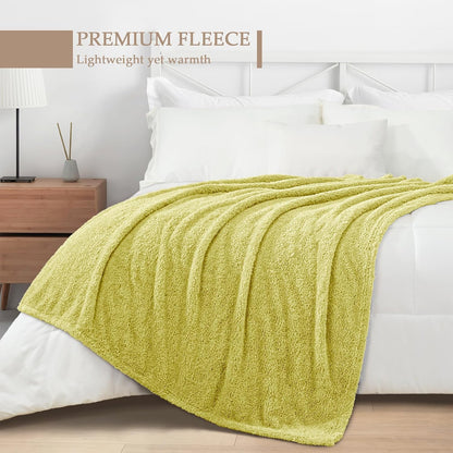 Exclusivo Mezcla Fleece Blanket for Couch, Soft and Cozy King Blankets for Women Men Girls Kids, Suitable for All Seasons, Light Green, 90x104 Inches