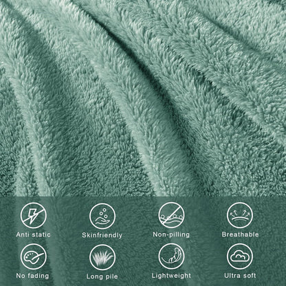 Exclusivo Mezcla Soft Fleece Throw Blanket for Couch, Super Soft Velvet Plush Bed Blanket, Fuzzy Cozy and Warm for All Seasons, 50x60 Inches, Celadon
