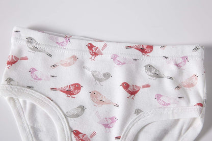 Barara King Little Girls' Soft Cotton Underwear Toddler Undies Kids panties