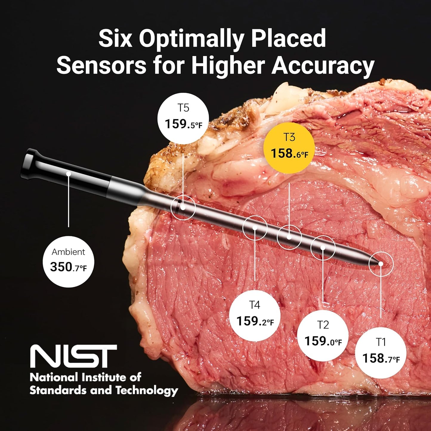 Wireless Bluetooth Smart Meat Thermometer: Standalone Base, WiFi Thermometer with Sub-1G, 6 Sensors