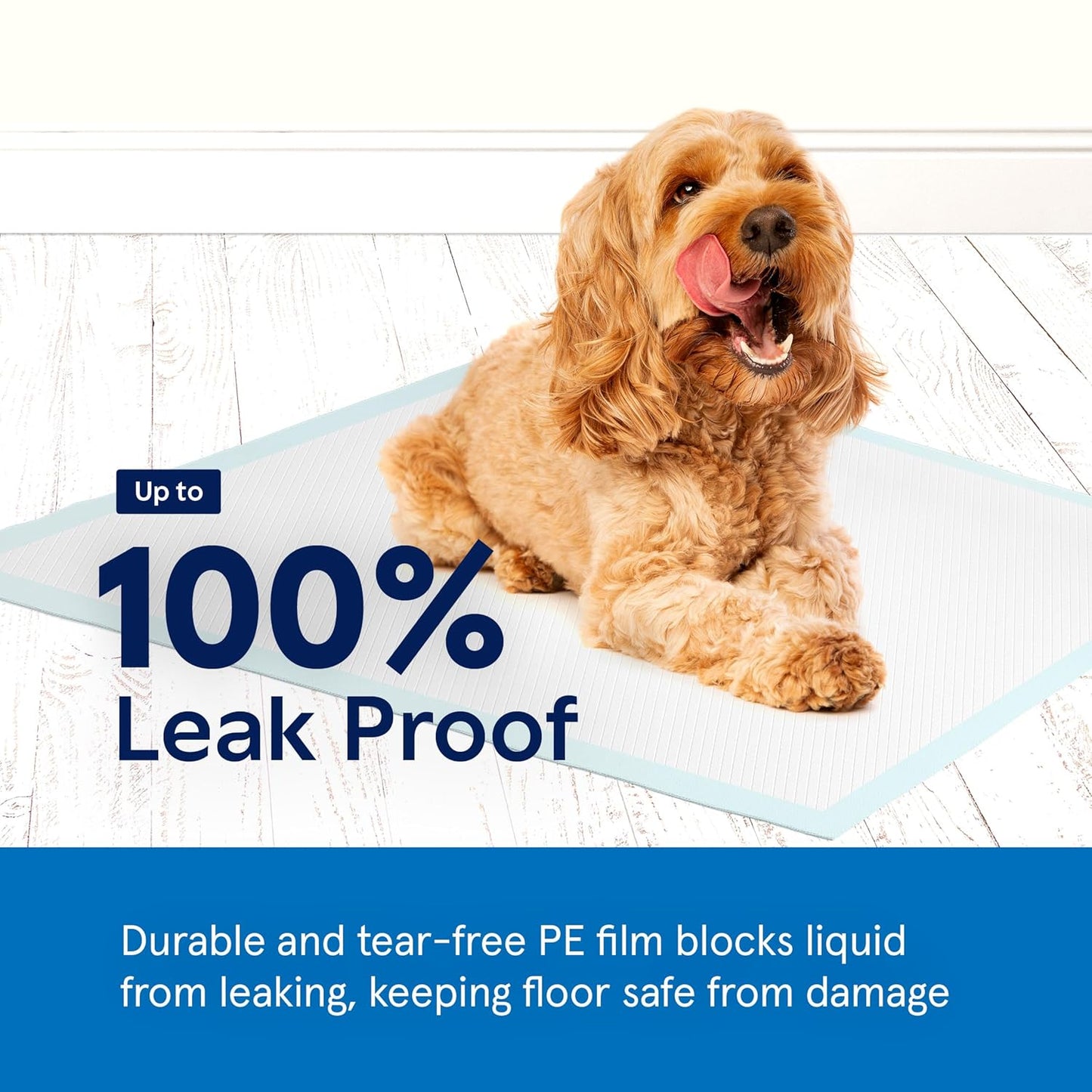 Puppy Pads Pet Pee Pads for Dogs & Puppy Training [300-COUNT] Potty Pads for Dogs 22" x 22" Leak-Proof Dog Pee Pads - Quick-Dry Surface - Heavy Duty Absorbent Disposable Dog Wee Pad Bulk Pack